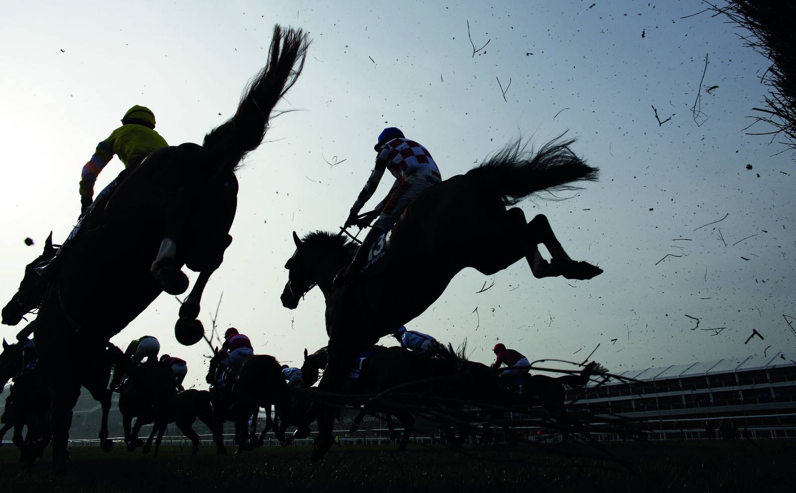 Le Carré Ovale spécialiste de l'événementiel sur les hippodromes