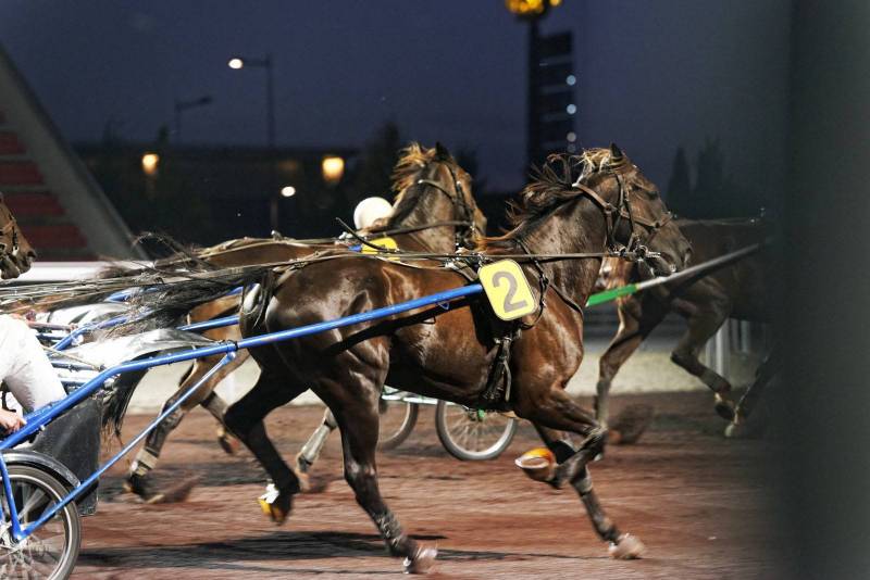 evenement sportif pour séminaire à lyon 8