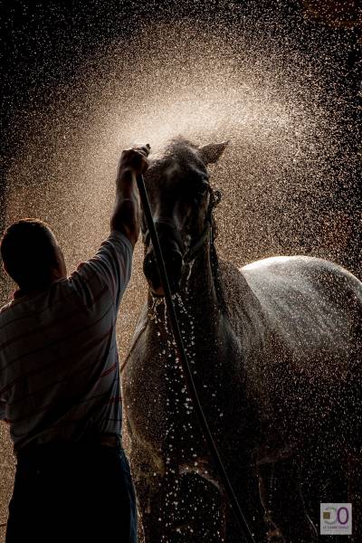visite des coulisses hippodrome paris ou lyon le carré ovale