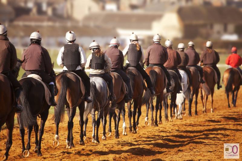 séminaire sur un hippodrome paris ou lyon by le carré ovale