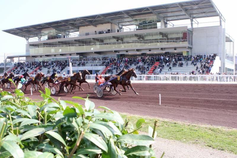 salon privatif hippodrome lyon