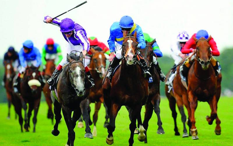 un jour aux courses hippodrome lyon