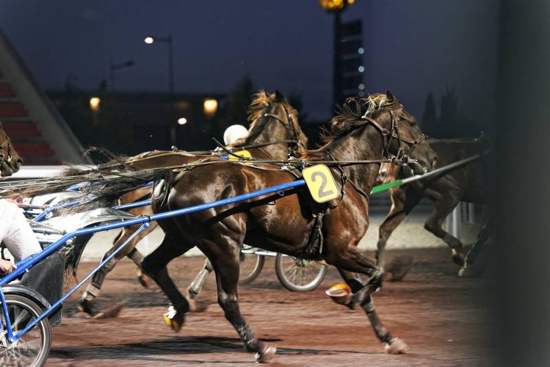 soiree entreprise cocktail prestige hippodrome lyon