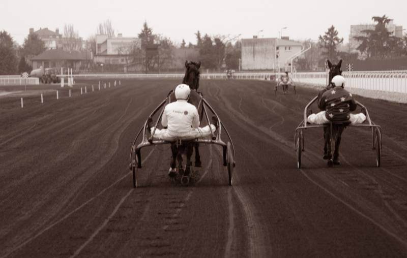 activité originale hippodrome de lyon